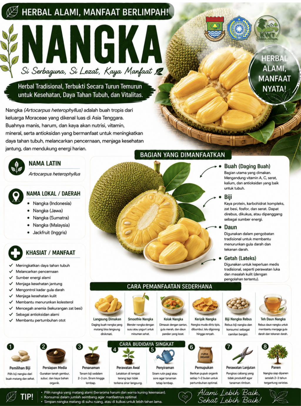 Nangka