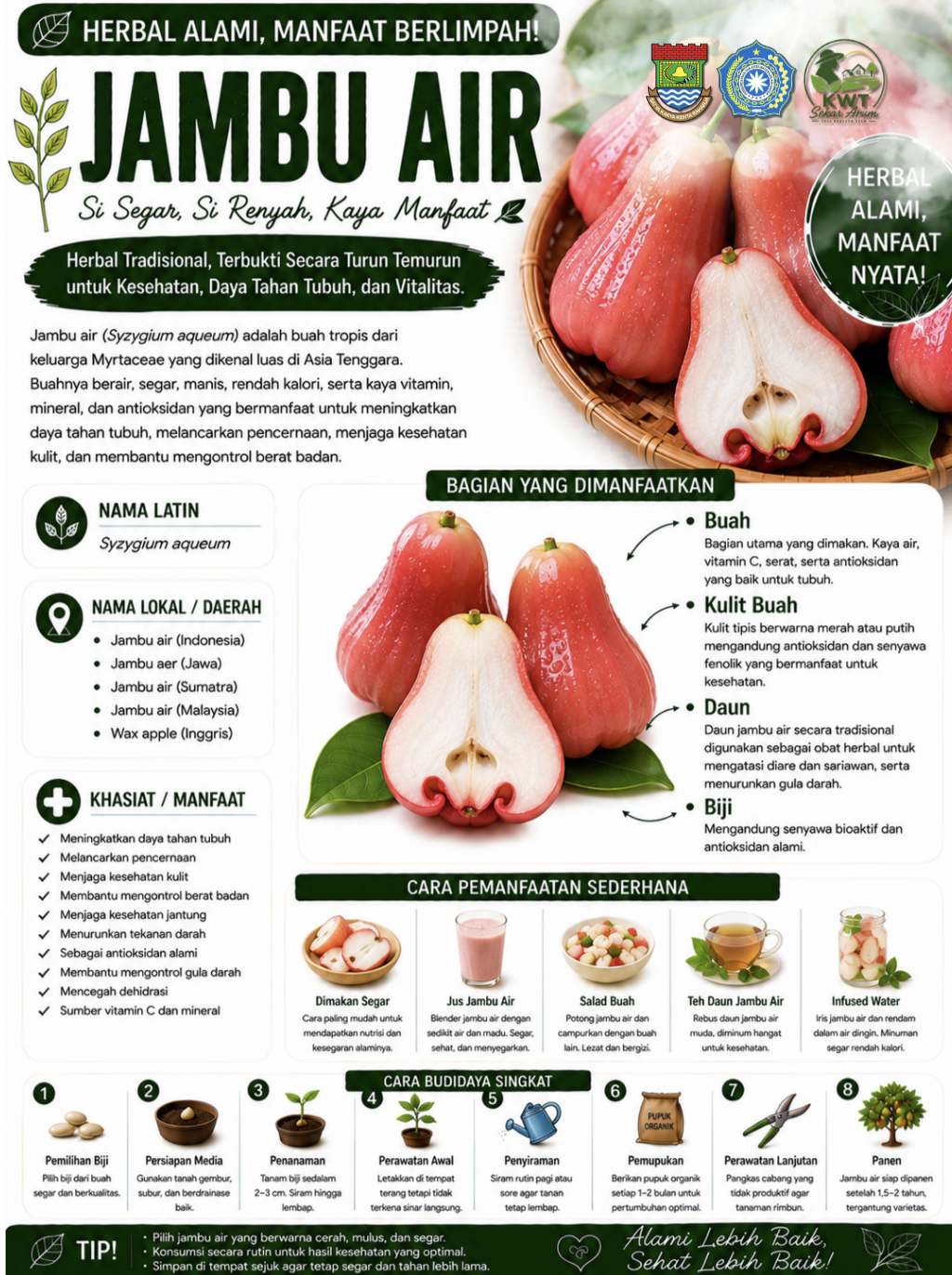 Jambu Air