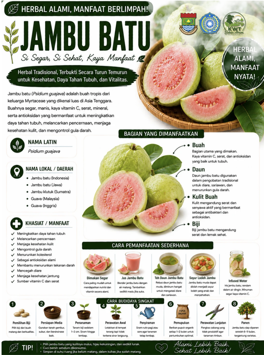 Jambu Batu