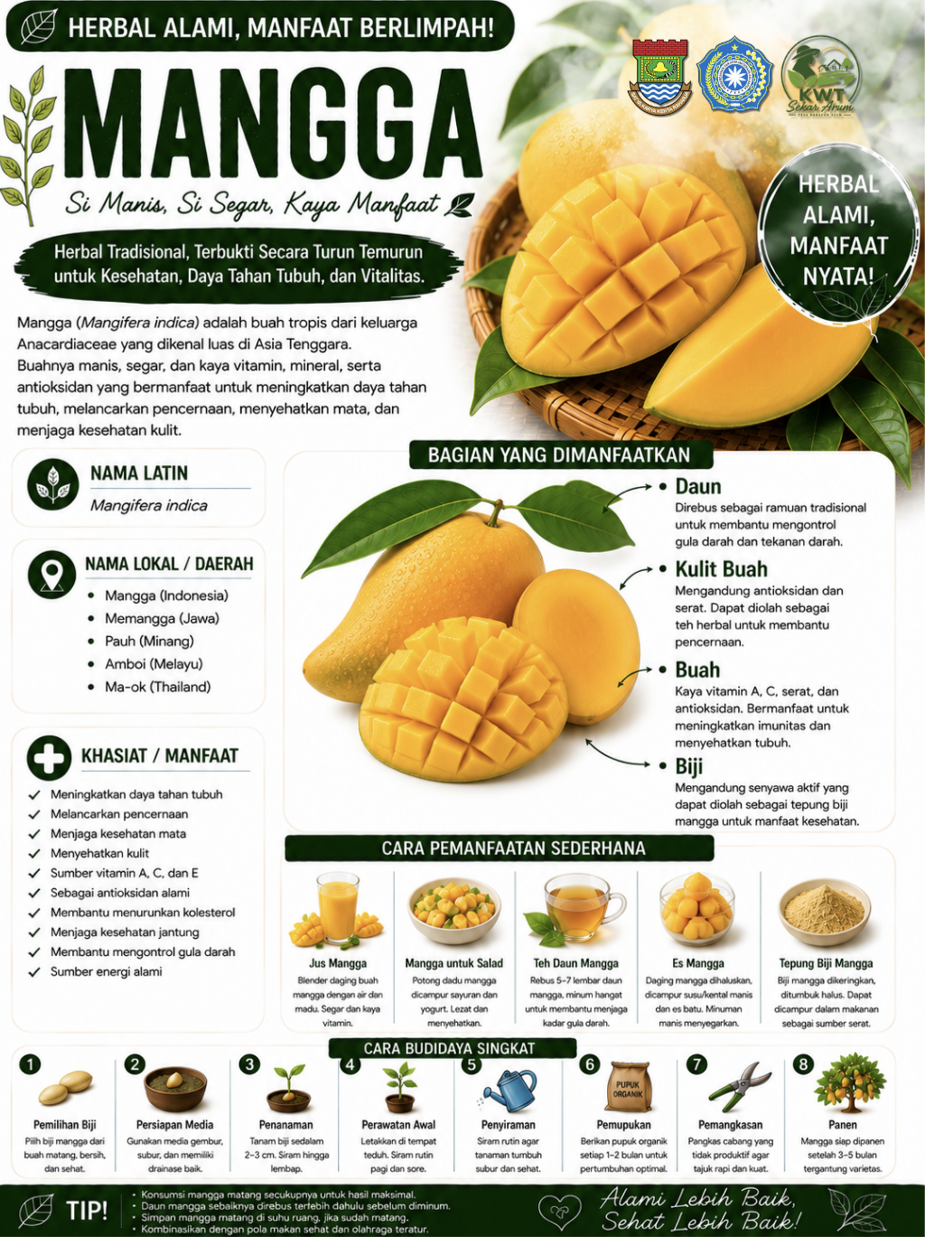 Mangga