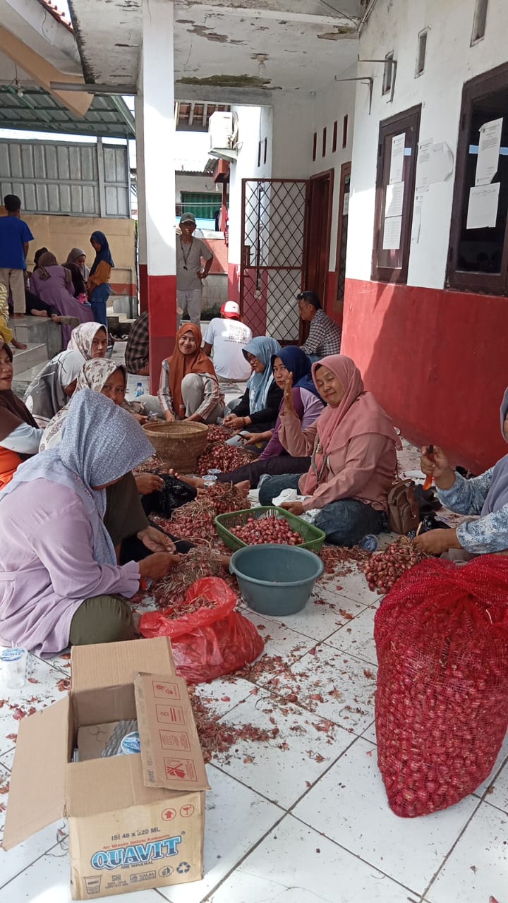 Melakukan kegiatan pengupasan bawang merah untuk persiapan penyemaian